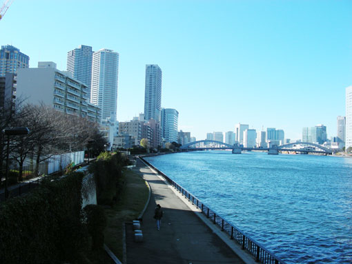 sumidagawa202.jpg